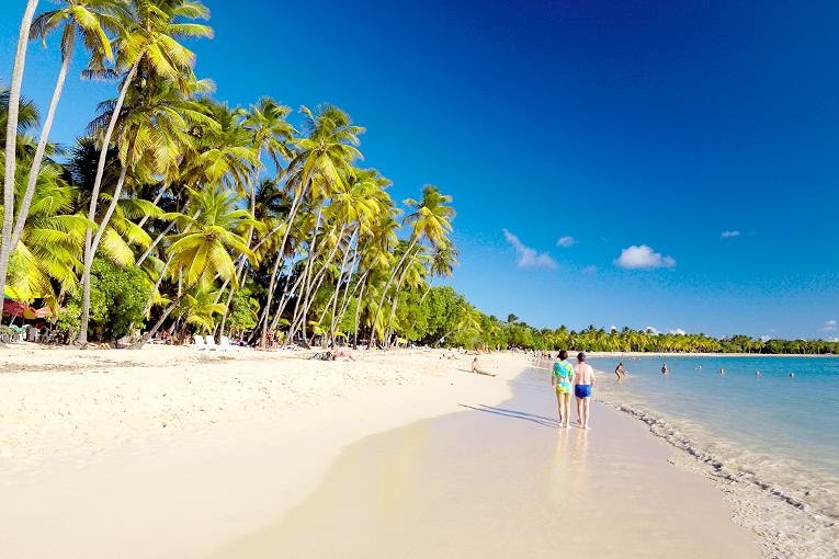 Bild från strand på ön Martinique i Karibien