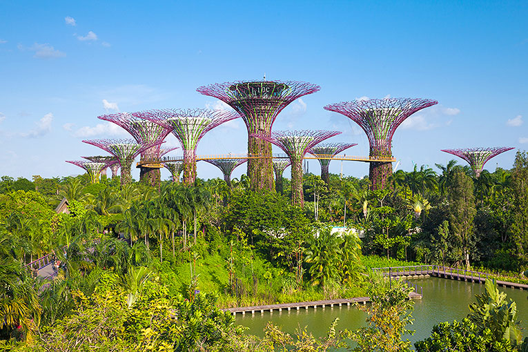 Bild från Gardens by the Bay i Singapore