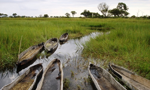 okavango-delta.jpg