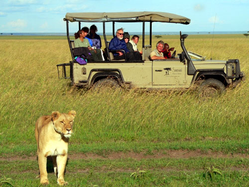 Safaris y turismo de aventura - Travelgenio