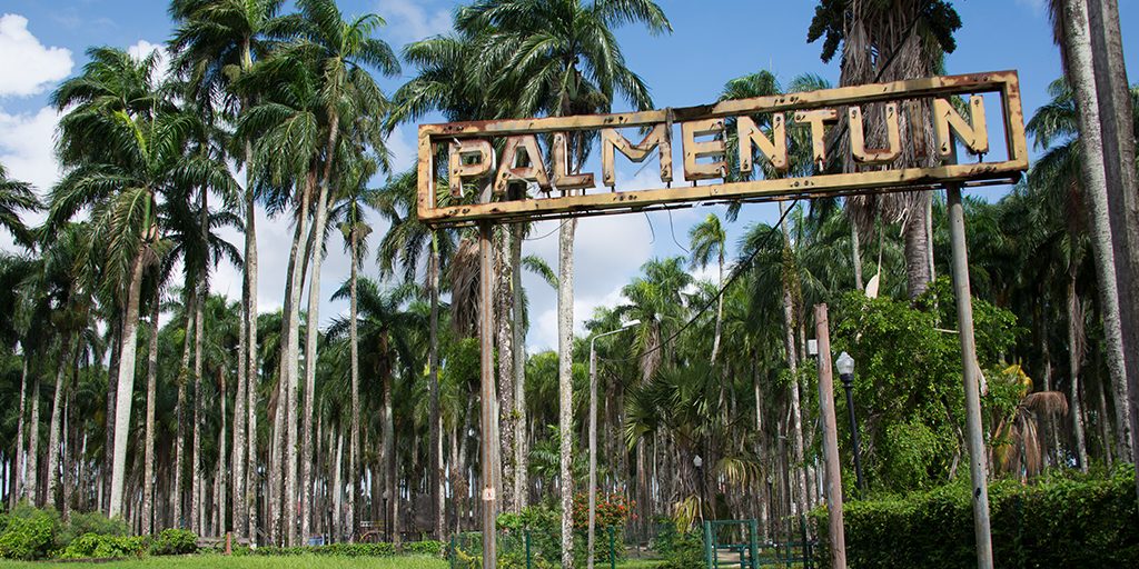 Palmentuin in het centrum van Paramaribo