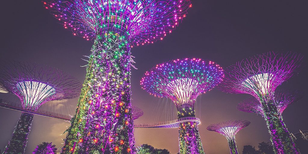 De verlichte Supertrees in Singapore